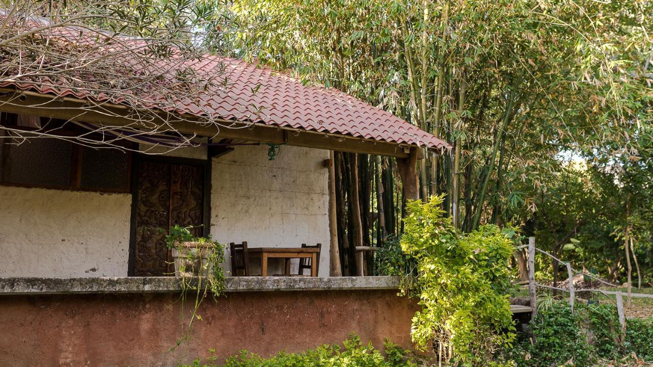 Hotel Mi Corazón Chilapa de Alvarez Exterior foto